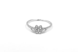 IMG_3566-fotor-2024102416322