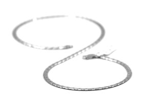 IMG_6011-fotor-20260224112637