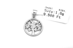 IMG_6052-fotor-20260227101837